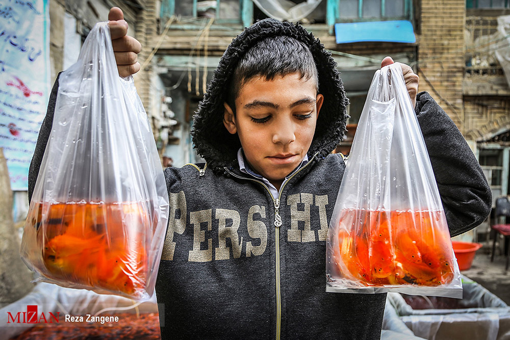سرخی هفت سین