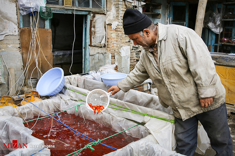سرخی هفت سین