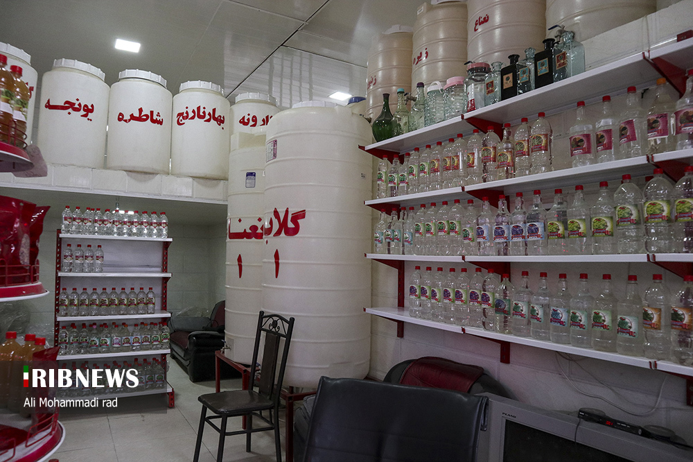 گلاب گیری میمند فارس