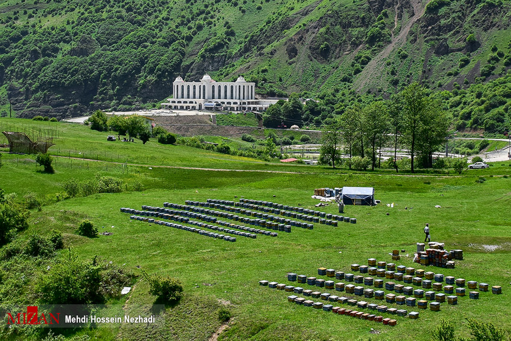 گردنه حیران
