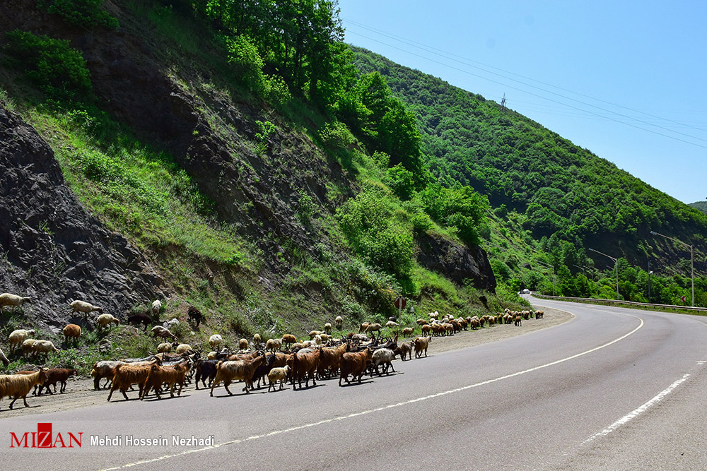 گردنه حیران