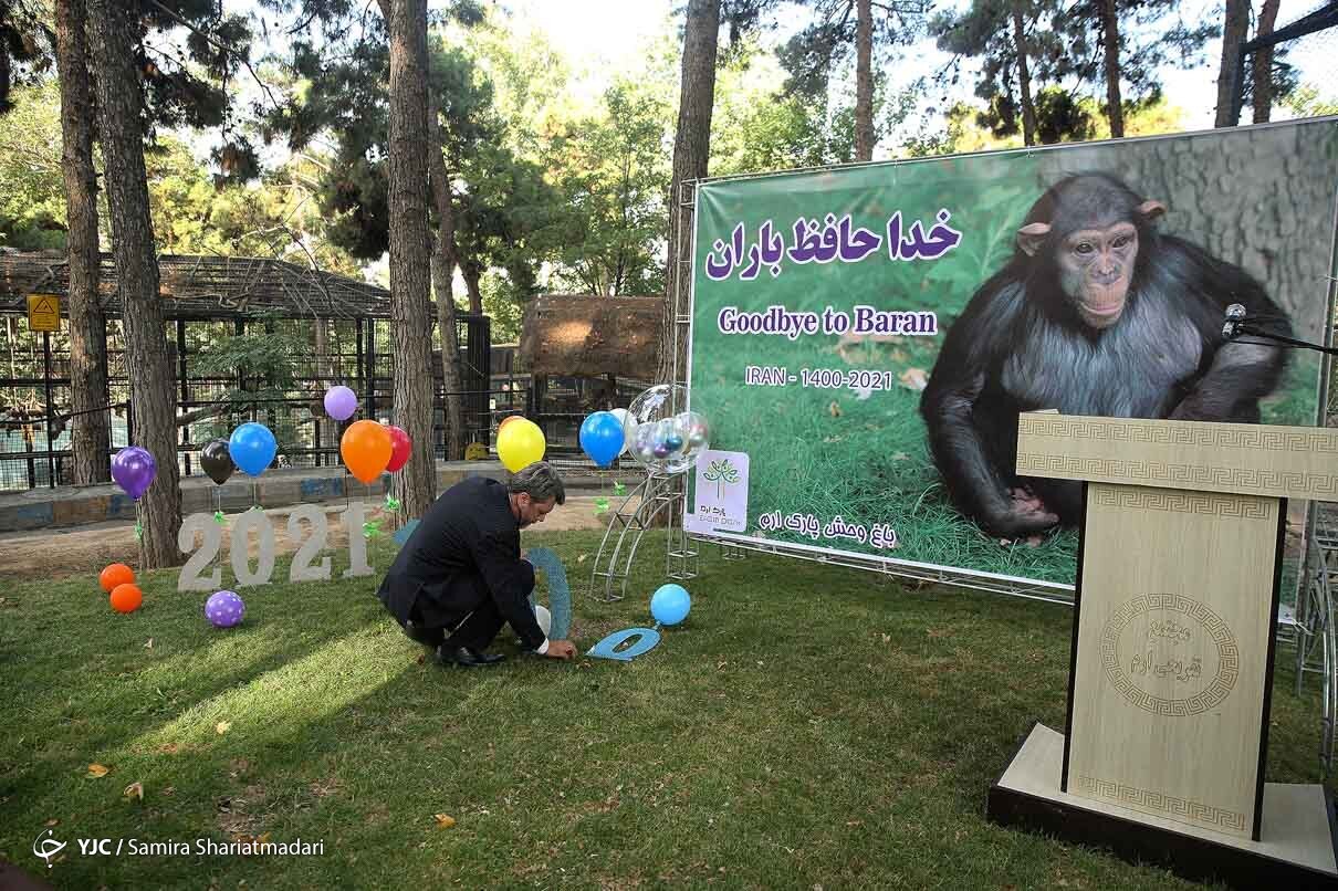خداحافظ باران