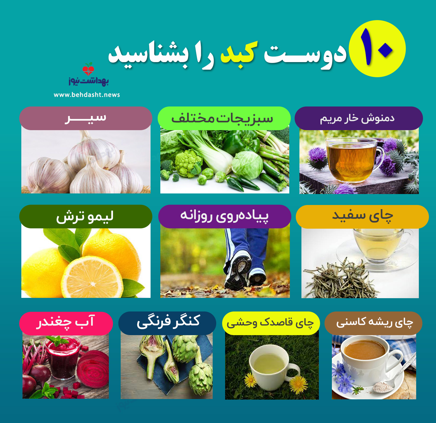 ۱۰ دوست کبد را بشناسید (اینفوگرافیک)