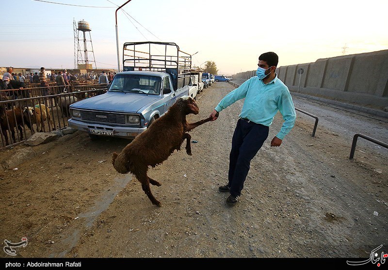 تصویری از پر کردن هورالعظیم با آب معدنی