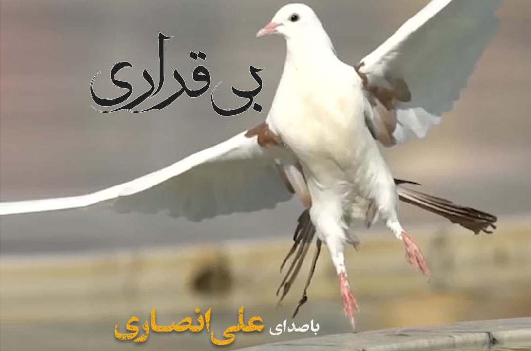 بی‌قراری ؛ علی انصاری