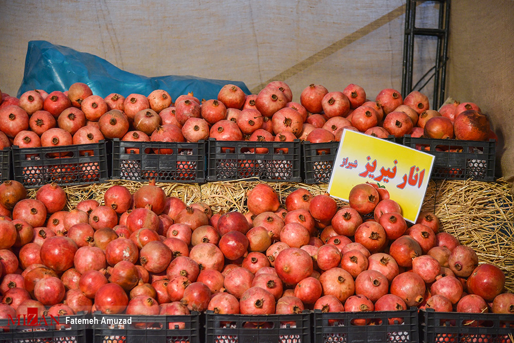 جشنواره انار