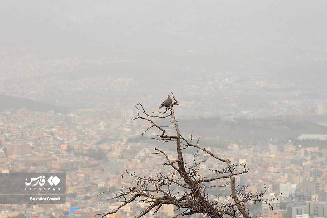 آلودگی هوا در استانها