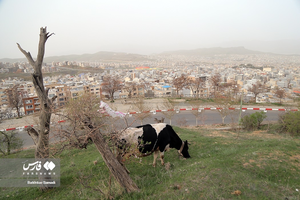 آلودگی هوا در استانها