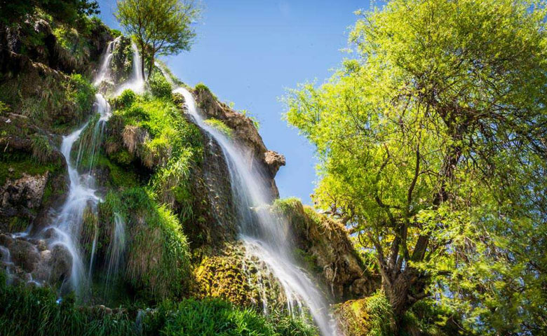 مراسم گلاب گیری کاشان کی برگزار میشود؟