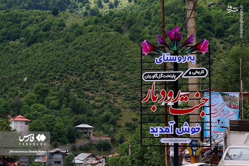 پایتخت گل گاوزبان ایران