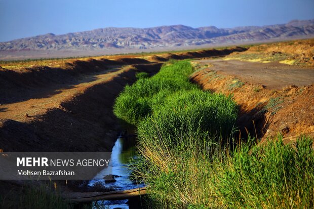 طبیعت رودخانه شور