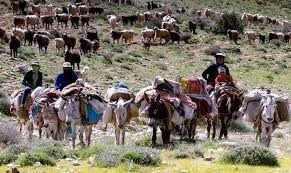 ورود عشایر به چهارمحال و بختیاری تا اطلاع ثانوی ممنوع