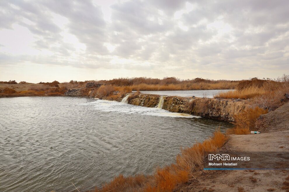 نفسهای آخر تالاب گاوخونی