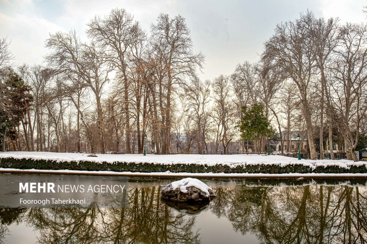 نماهایی دیدنی از کاخ نیاوران