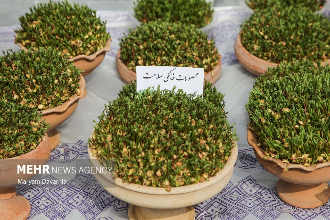 جشنواره سمنو در بجنورد