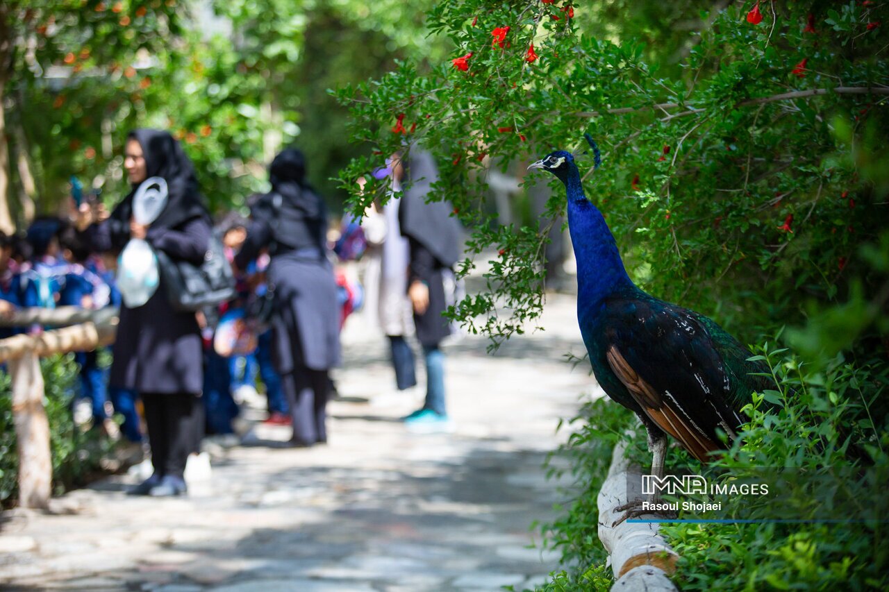 باغ پرندگان اصفهان