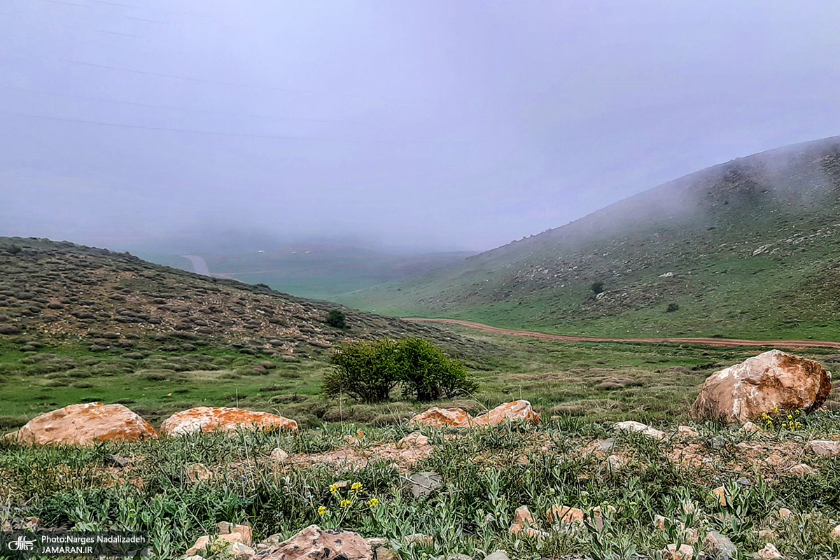 جنگل ابر دیدنی شاهرود