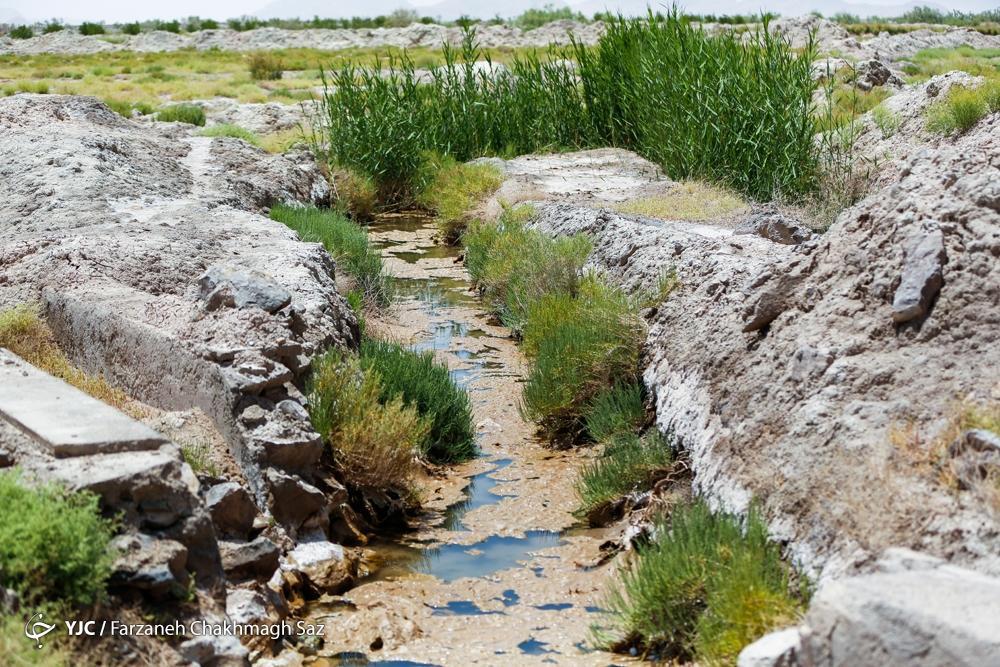 چشمه گمبان ارسنجان