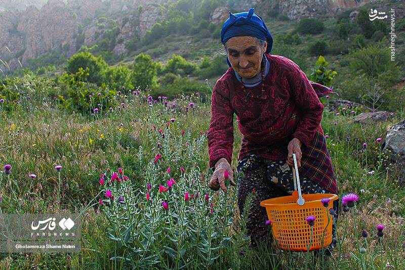 تصاویری از زندگی زنان روستایی