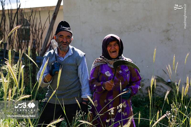 تصاویری از زندگی زنان روستایی