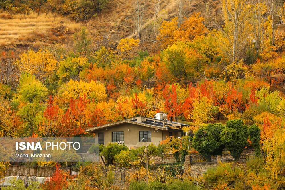 خزانِ زیبای همدان