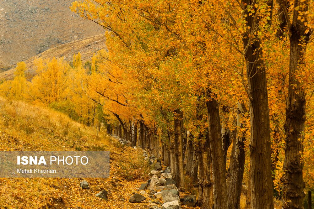 خزانِ زیبای همدان