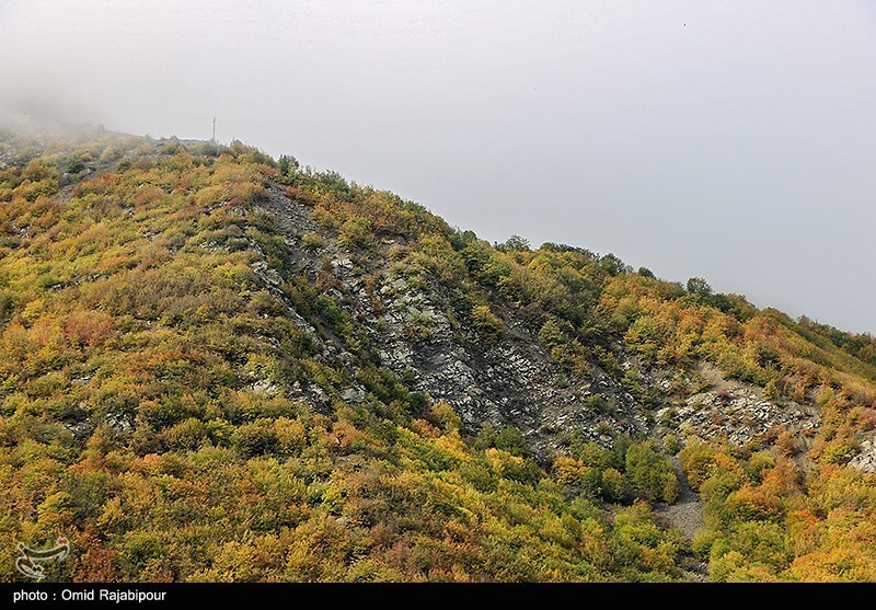 طبیعت پاییزی گیلان