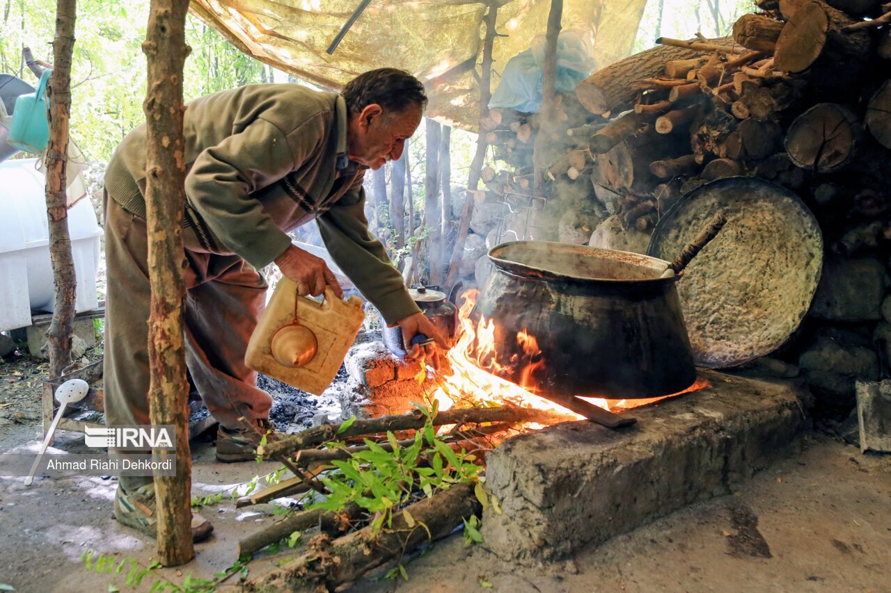 انارِ مشایخ