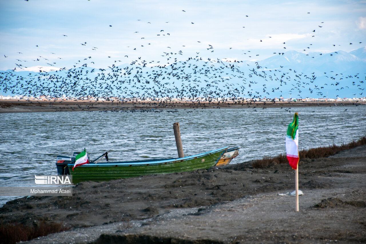 آبگیری خلیج گرگان