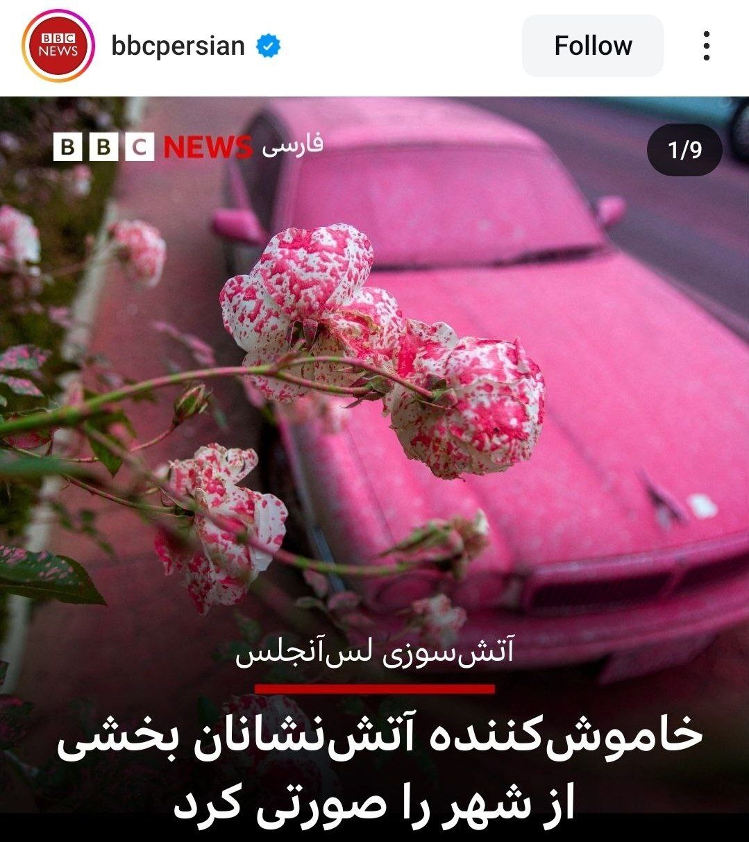 طعنه یک فعال رسانه ای به صورتی نشان دادن آمریکا