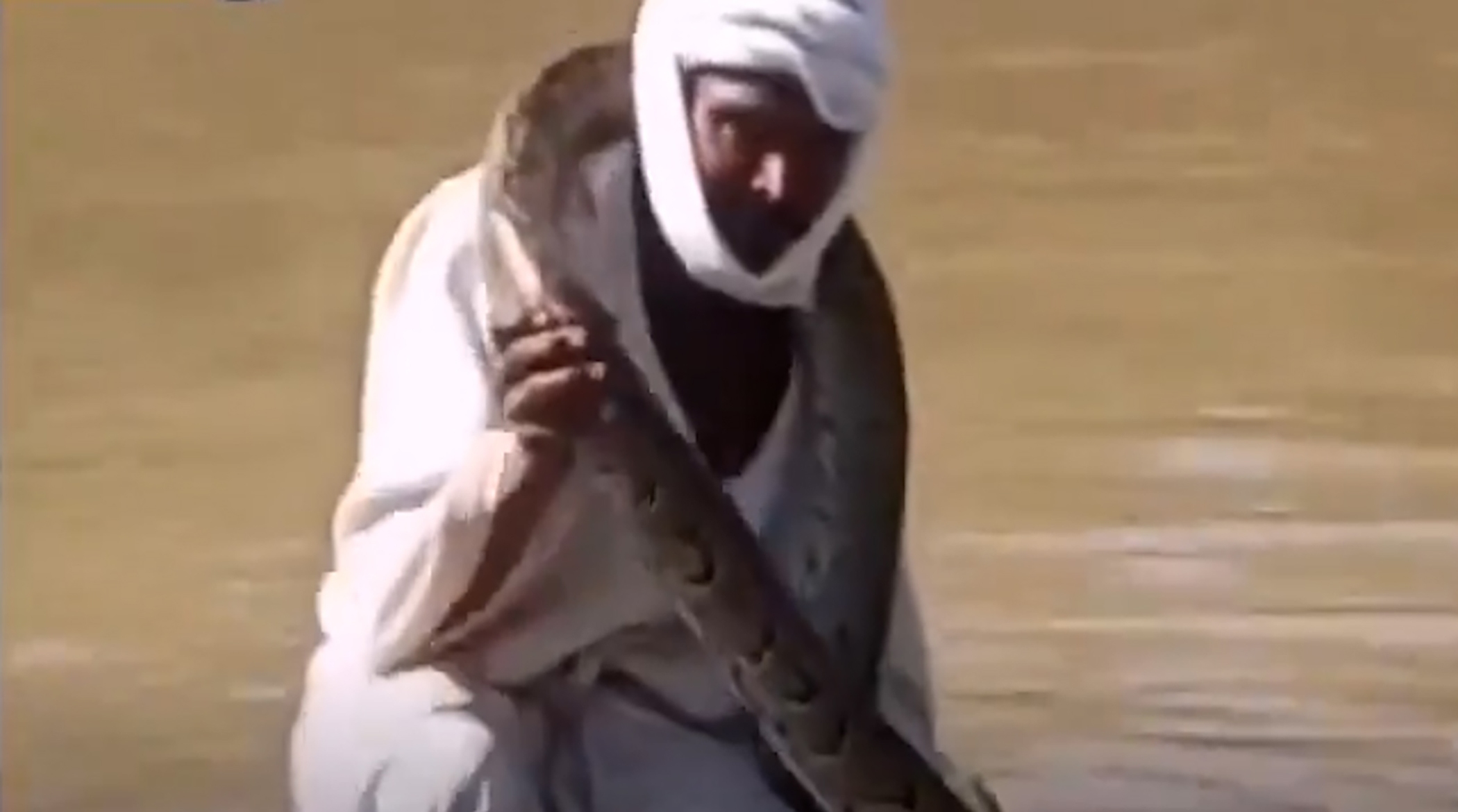مار غول‌پیکر بوآ دور گردن ماهیگیر
