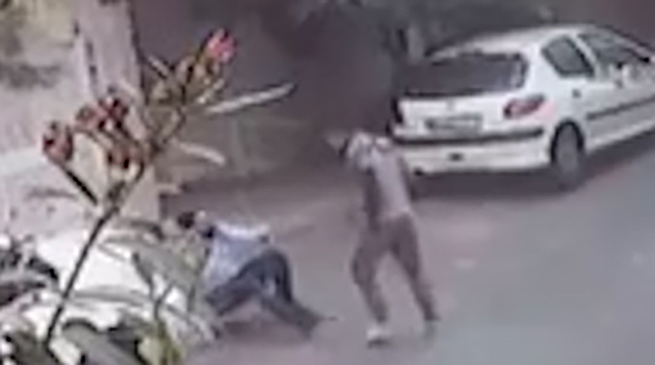 حملات وحشیانه سارقی که امروز اعدام شد