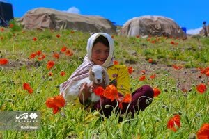 دختران آفتاب