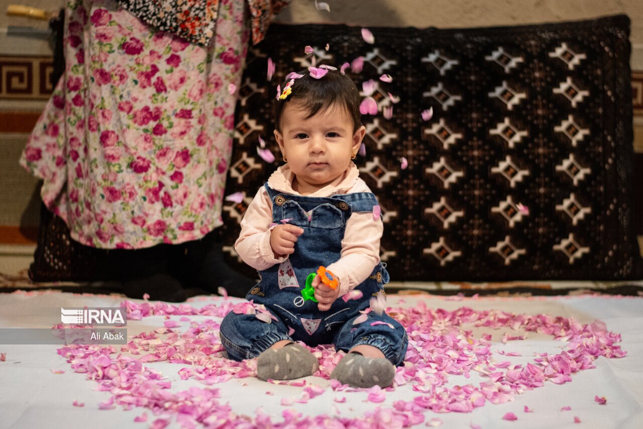 آیین گل غلتان در دامغان