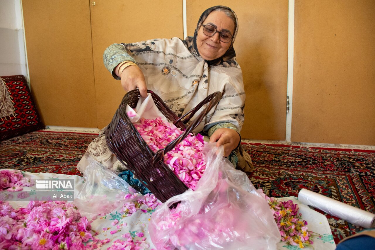 آیین گل غلتان در دامغان