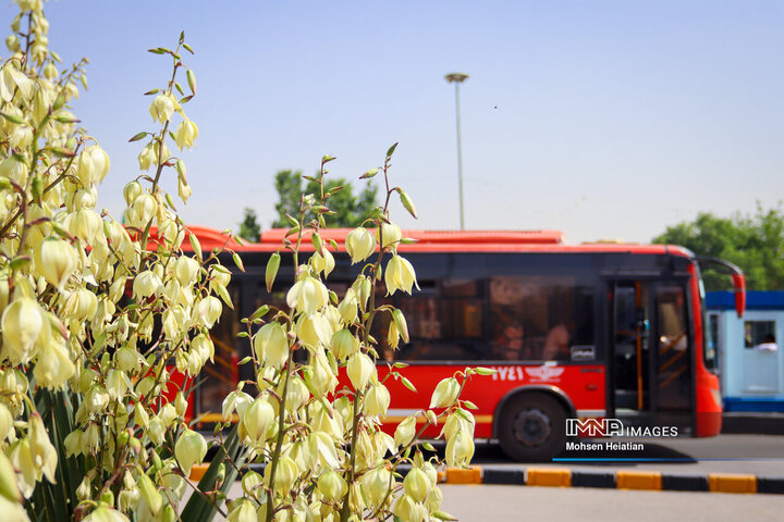 ۳ مهمان سفید اصفهان