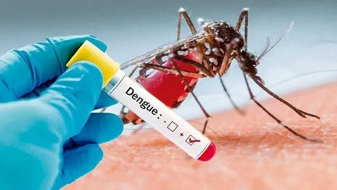 آخرین ماموریت جنتی!