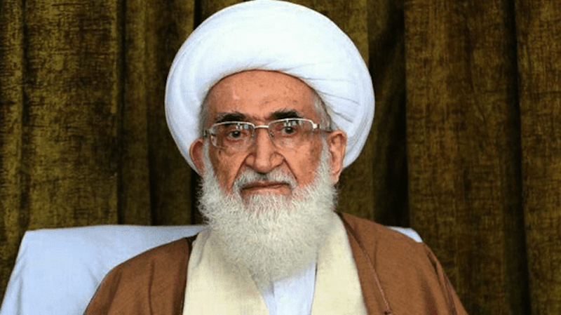 واکنش آیت‌الله نوری همدانی به تعرض به رهبر انقلاب