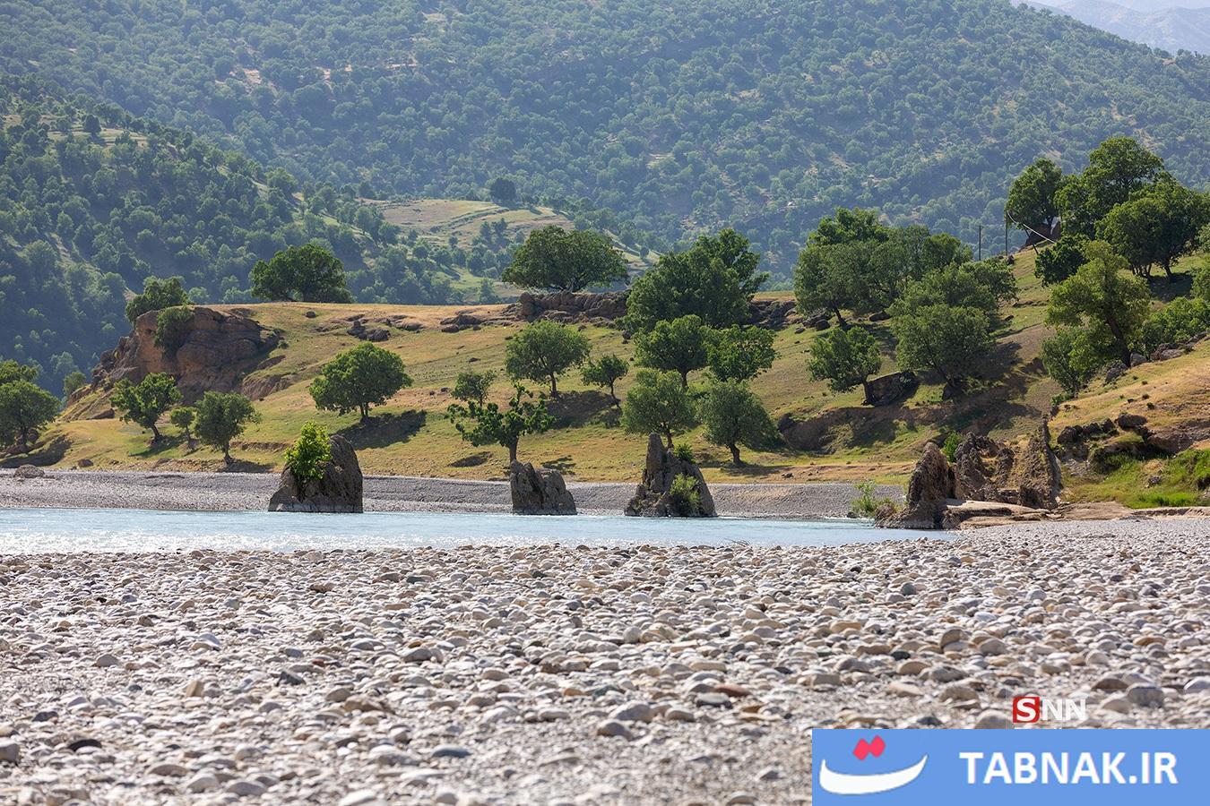 بلمسواری