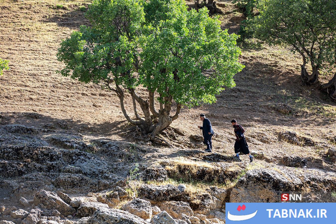 بلمسواری