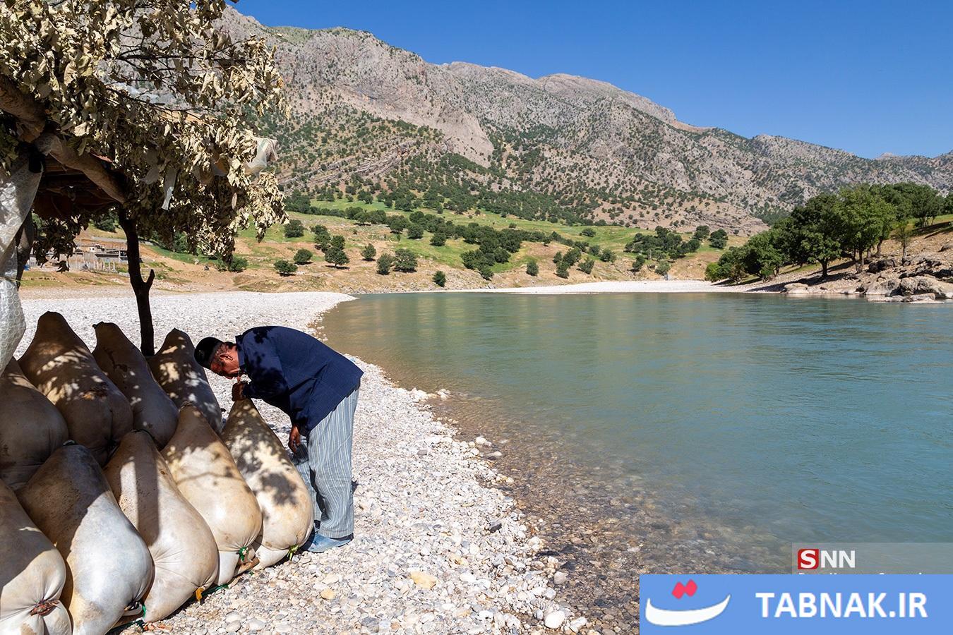 بلمسواری