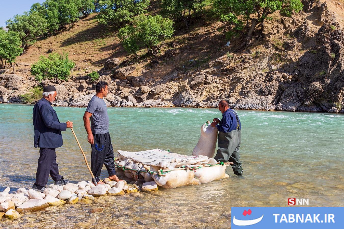 بلمسواری
