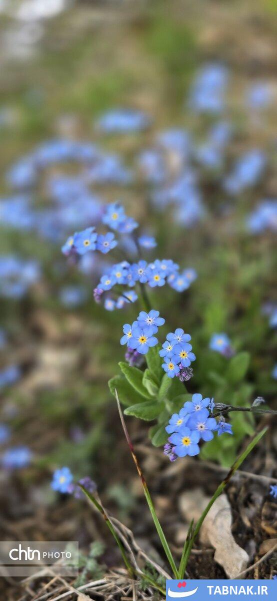 جاده ای میان ابرها