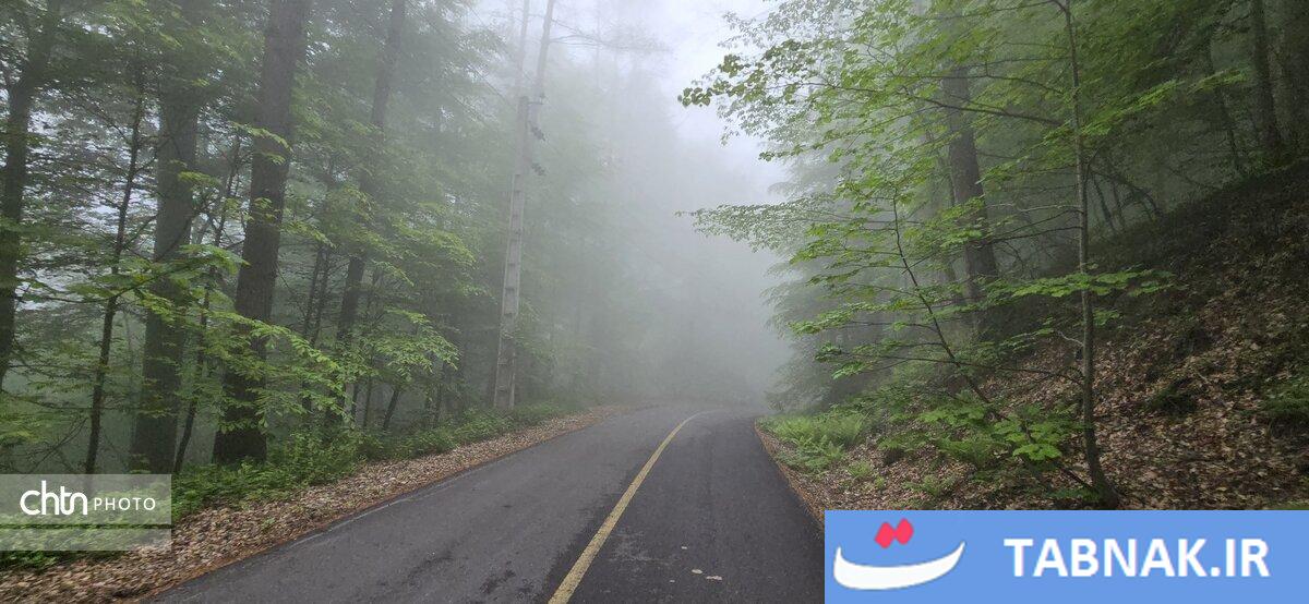 جاده ای میان ابرها