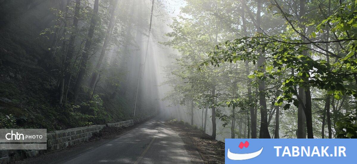 جاده ای میان ابرها