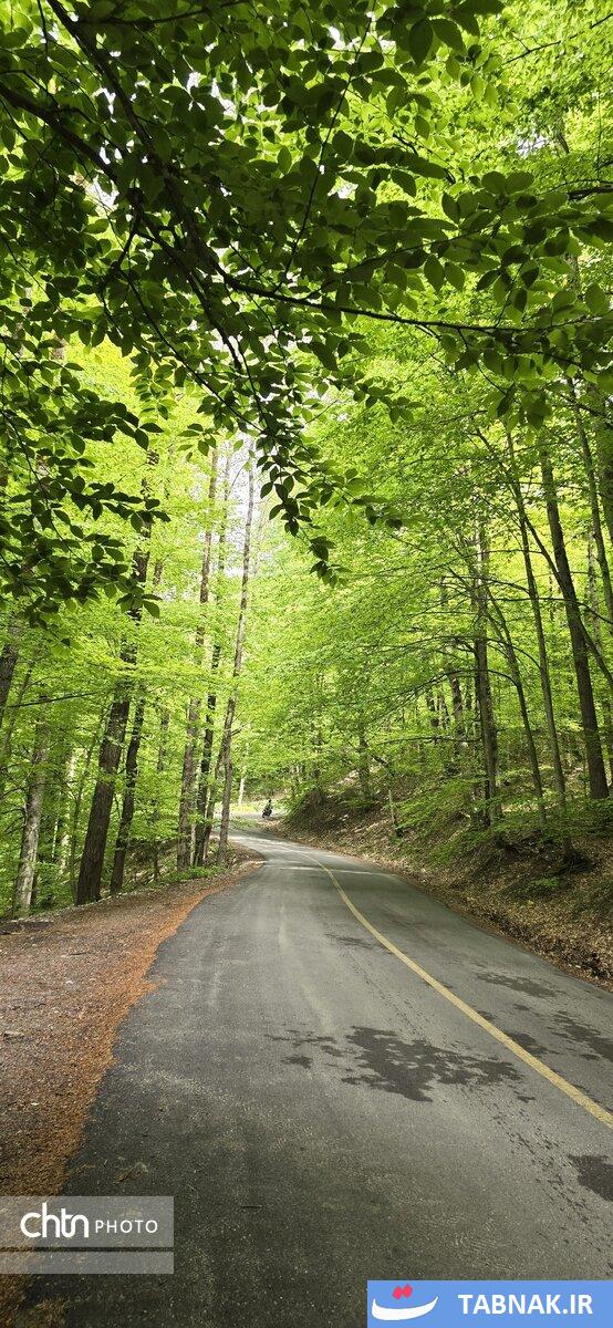 جاده ای میان ابرها