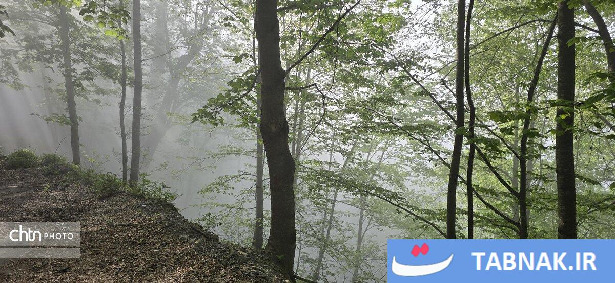 جاده ای میان ابرها
