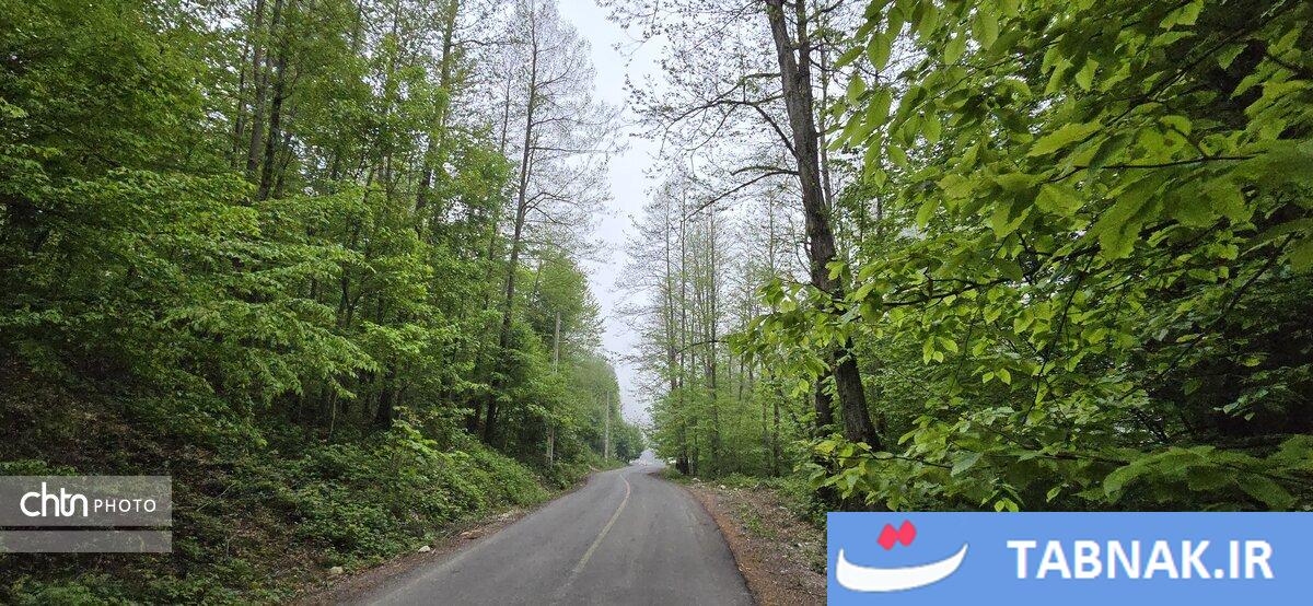 جاده ای میان ابرها