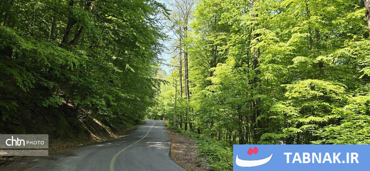 جاده ای میان ابرها