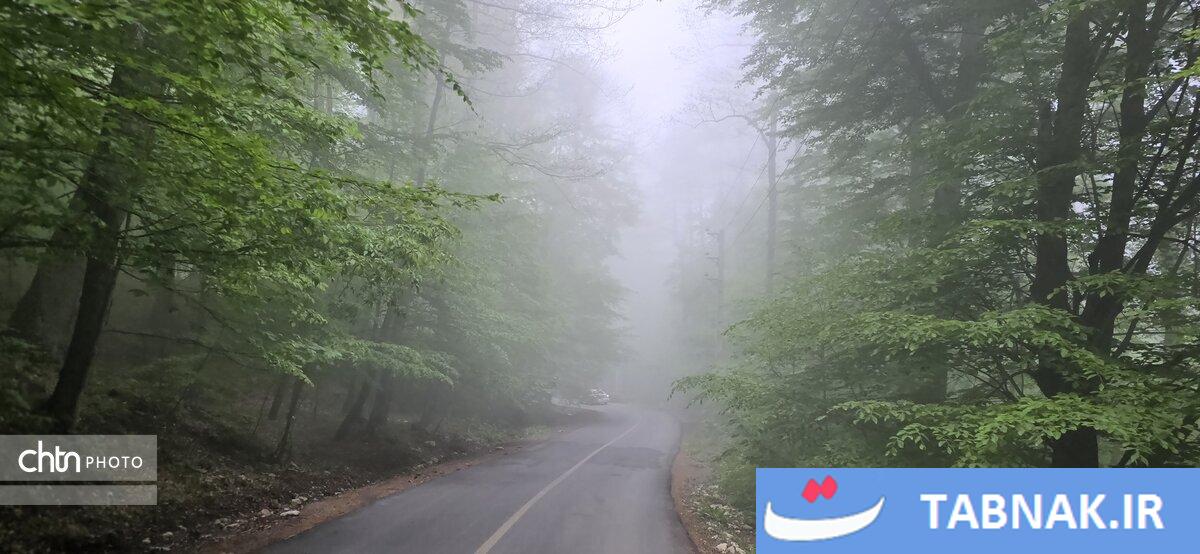 جاده ای میان ابرها
